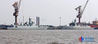 建立王国就要从零开始九游版下载
